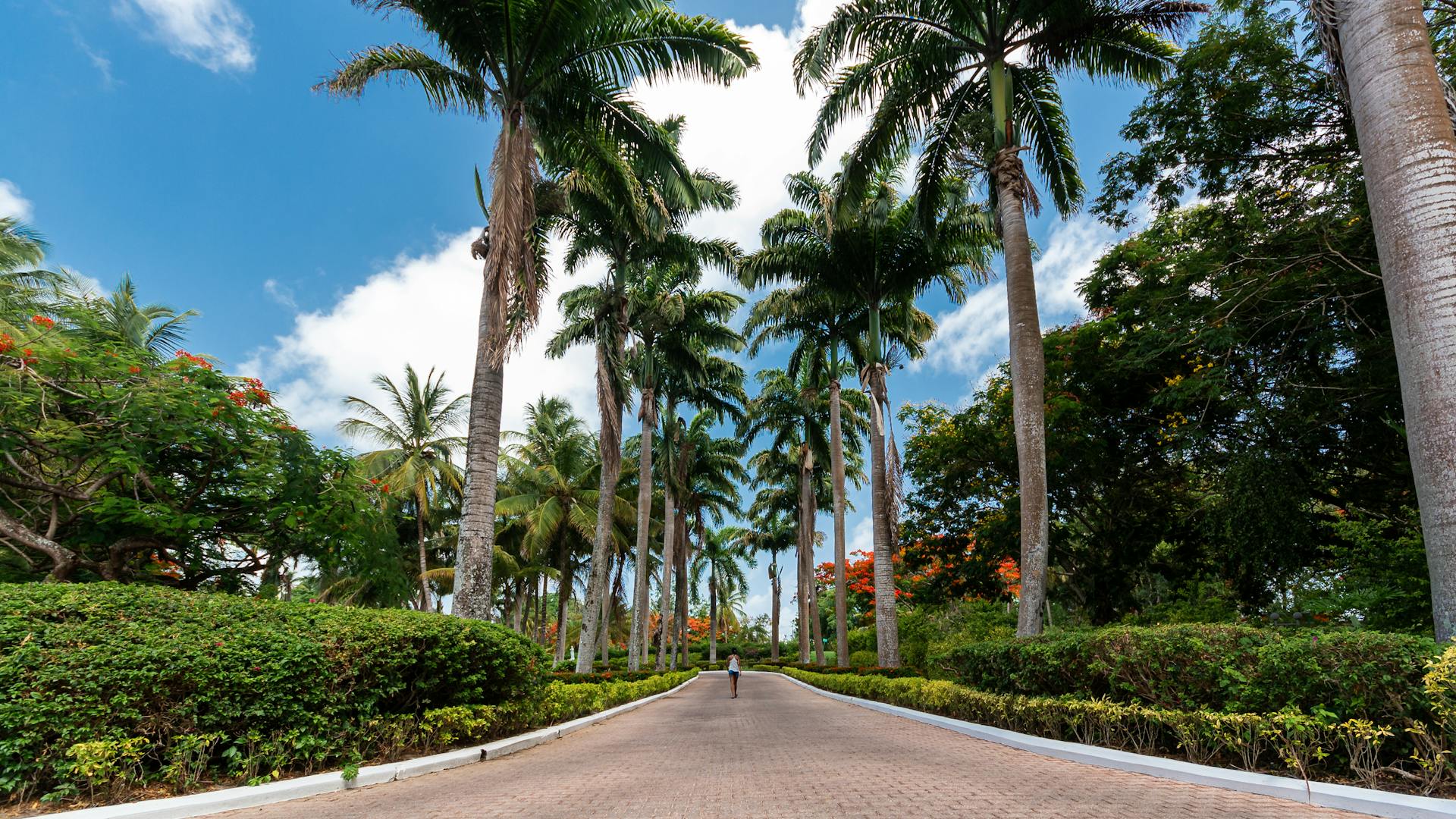 Why Pre-Scheduling Your Nassau Airport Transfer Is Always the Right Call